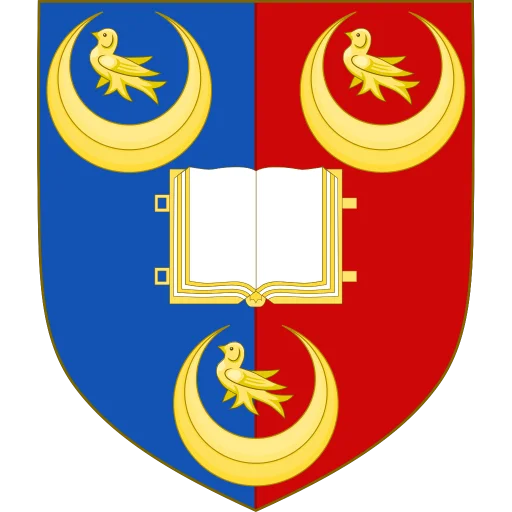 奇切斯特大学 logo