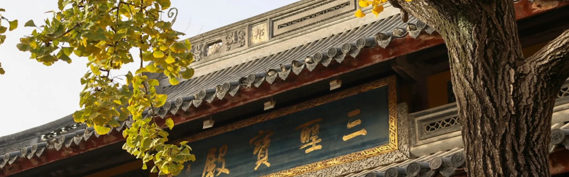 East China University of Political Science and Law