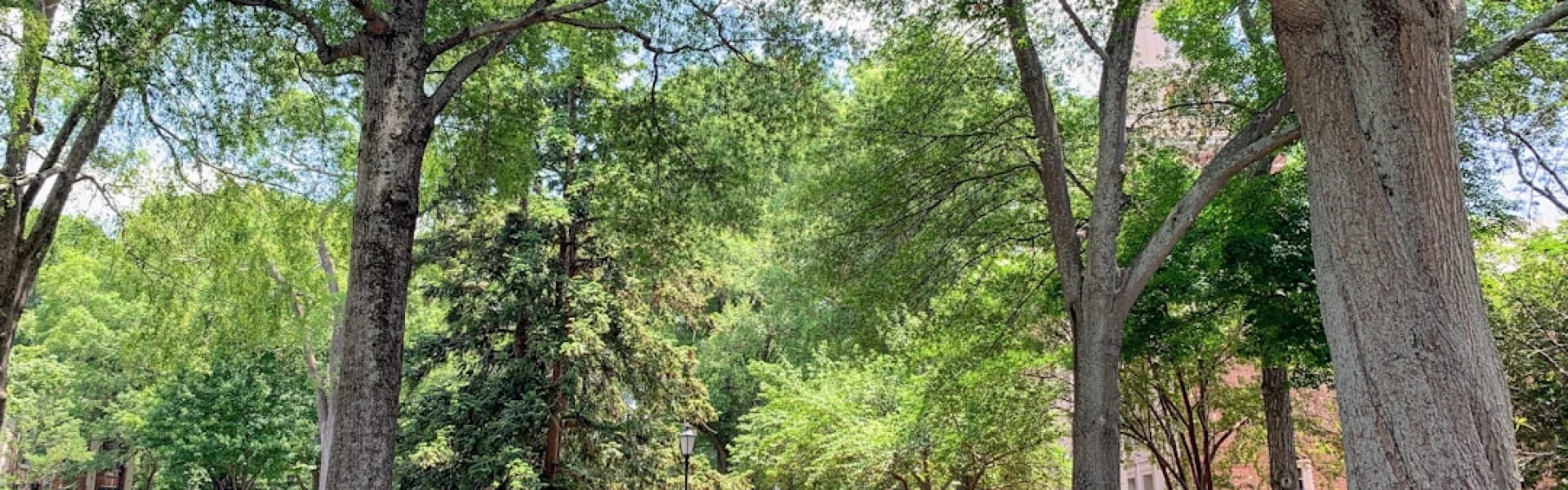 Davidson College