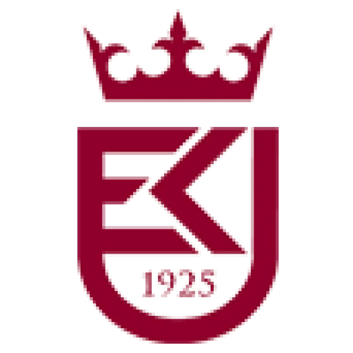 克拉科夫经济大学