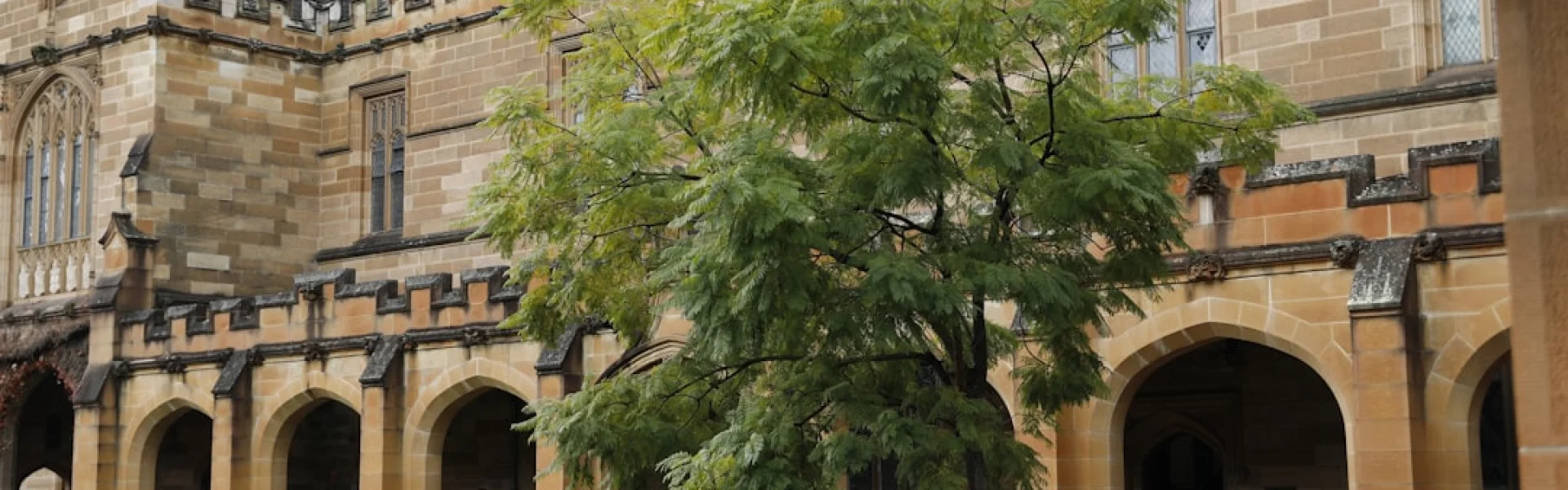 西悉尼大学
