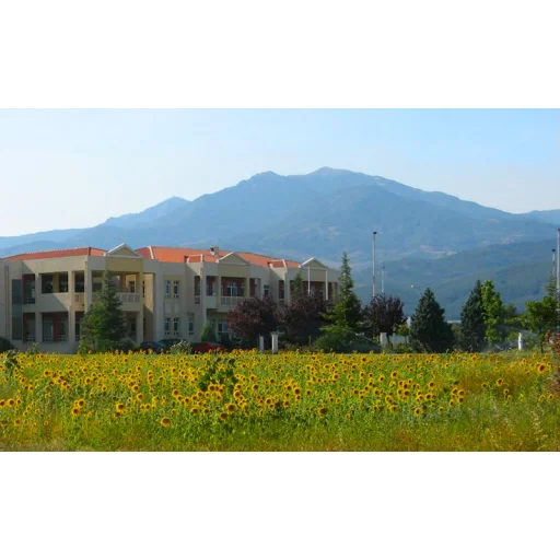 Democritus University of Thrace