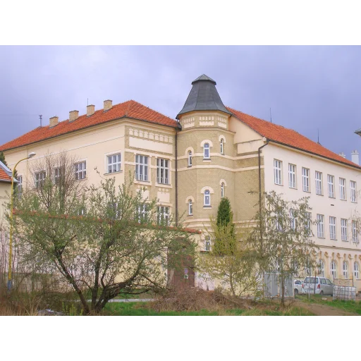 裴瑞秀大学