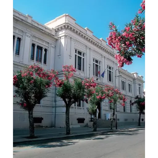 University of Reggio Calabria