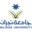 奈季兰大学 logo