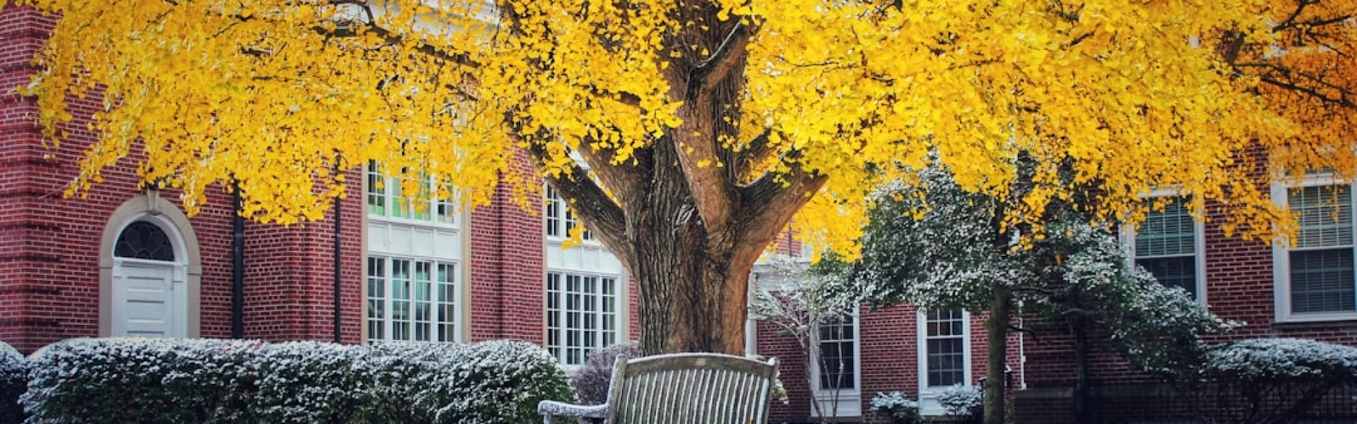 Northern Kentucky University