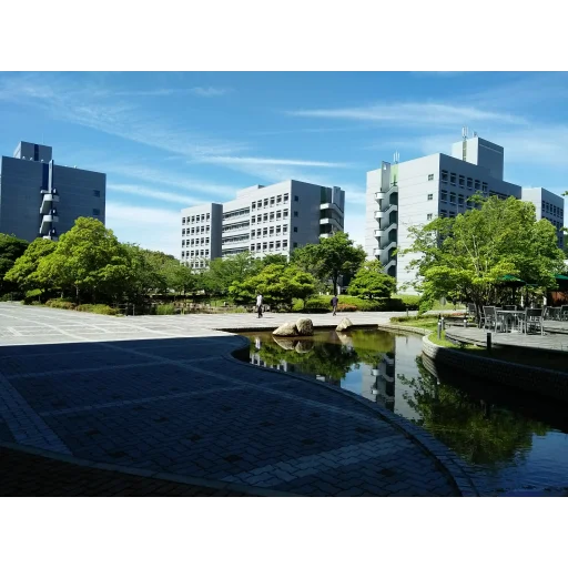 Nara Institute of Science and Technology
