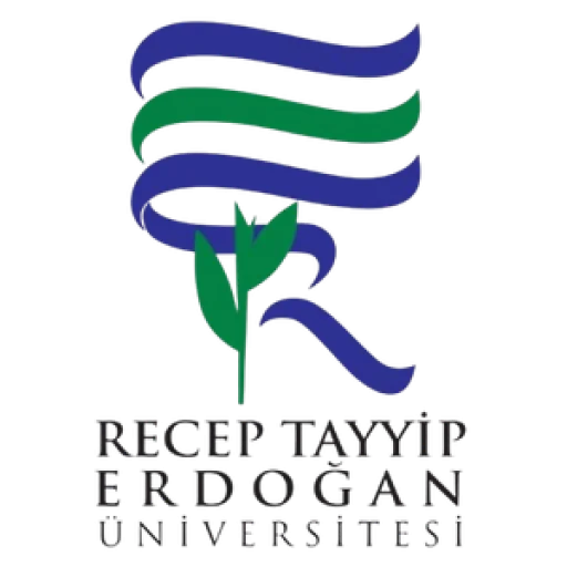 Recep Tayyip Erdoğan University