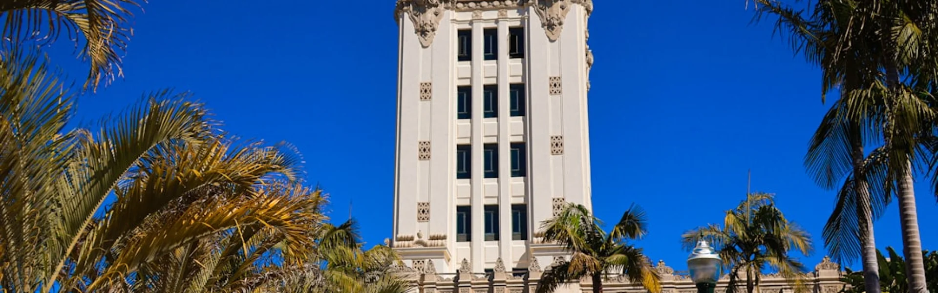 加州州立大学，洛杉矶