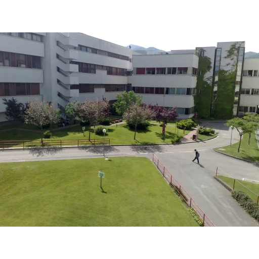 萨莱诺大学 logo