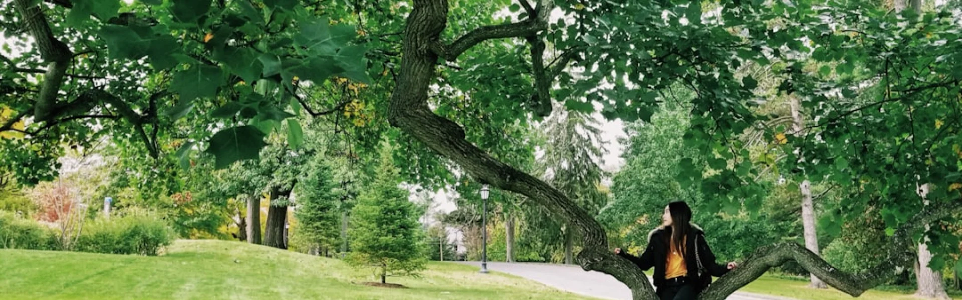 Williams College