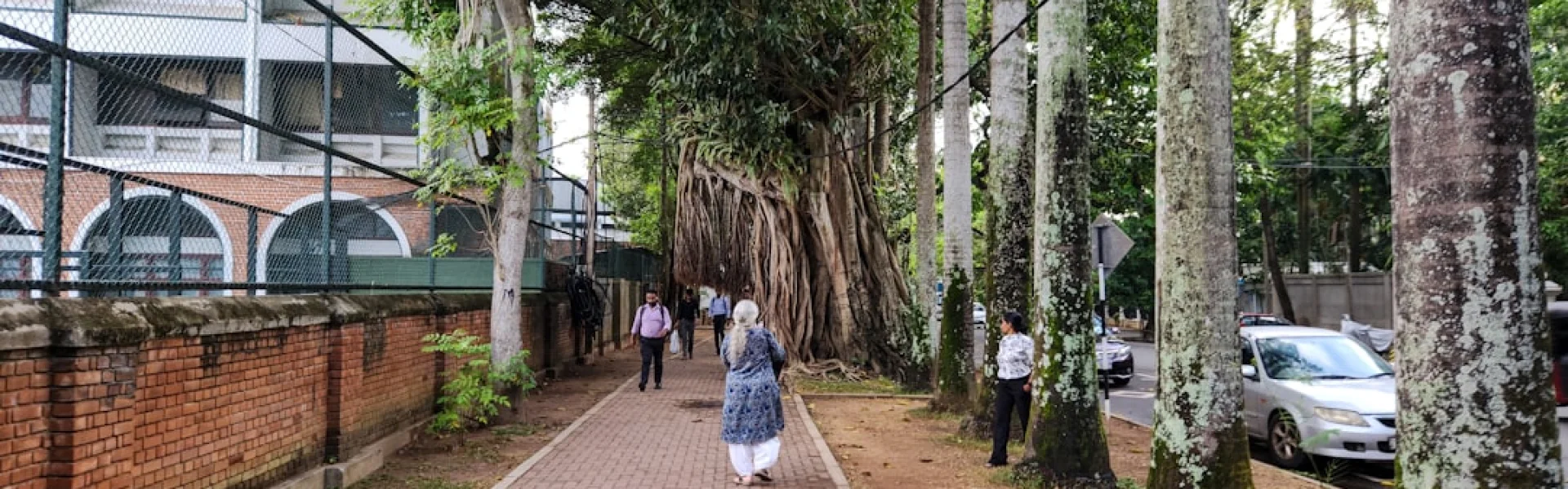 Rajarata University of Sri Lanka