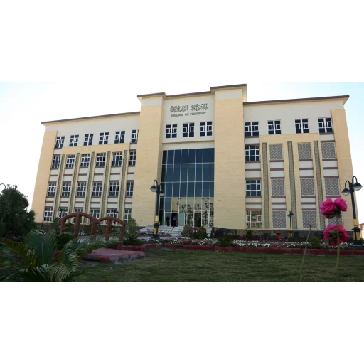 University of Alkafeel