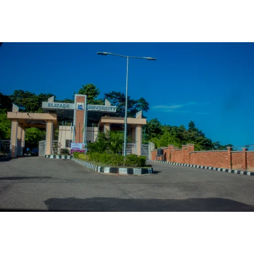 Elizade University