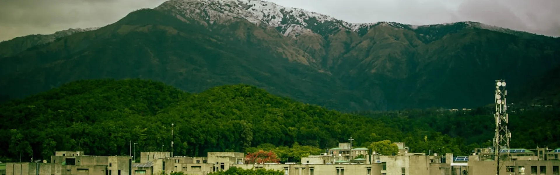 Uttaranchal University