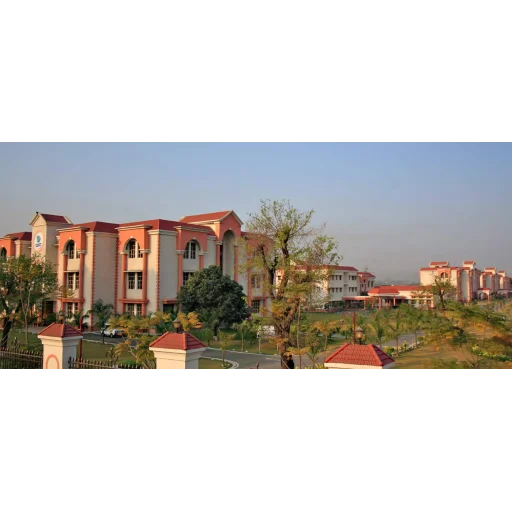 Uttaranchal University