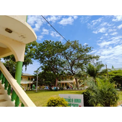 Al-Hikmah University