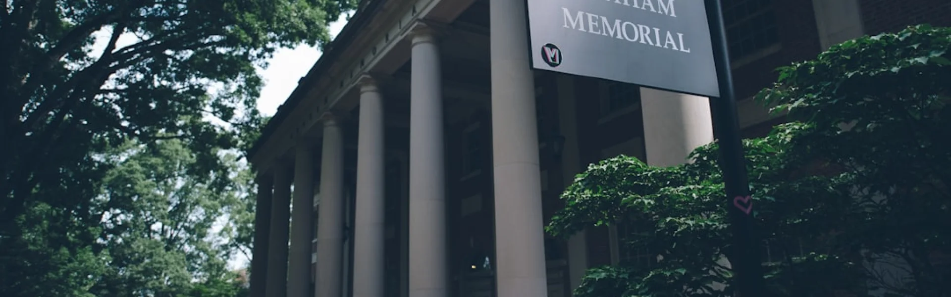 C.V. Raman Global University