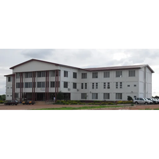 发展研究大学
