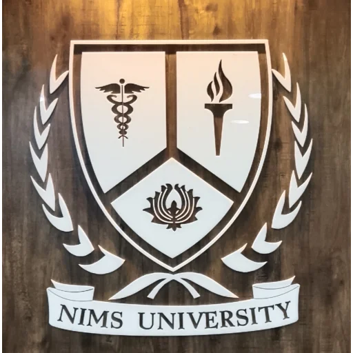 NIMS University