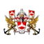 南安普顿索伦特大学 logo