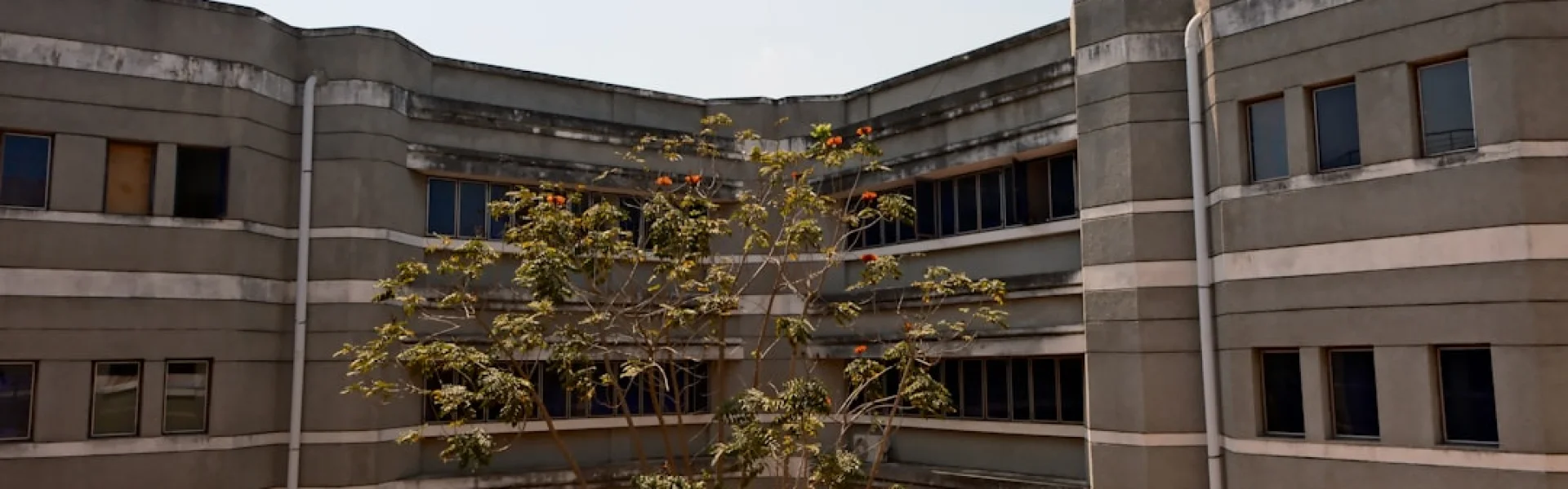Modern College of Business and Science