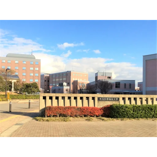 新泻医疗福祉大学