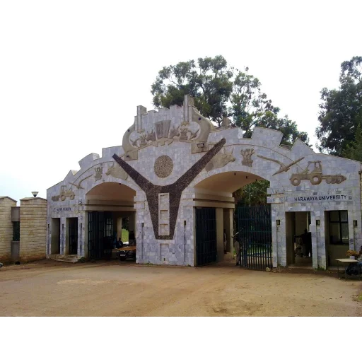 Haramaya University