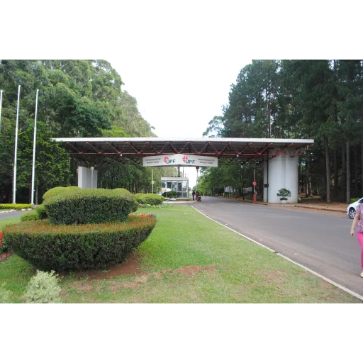 Universidade de Passo Fundo