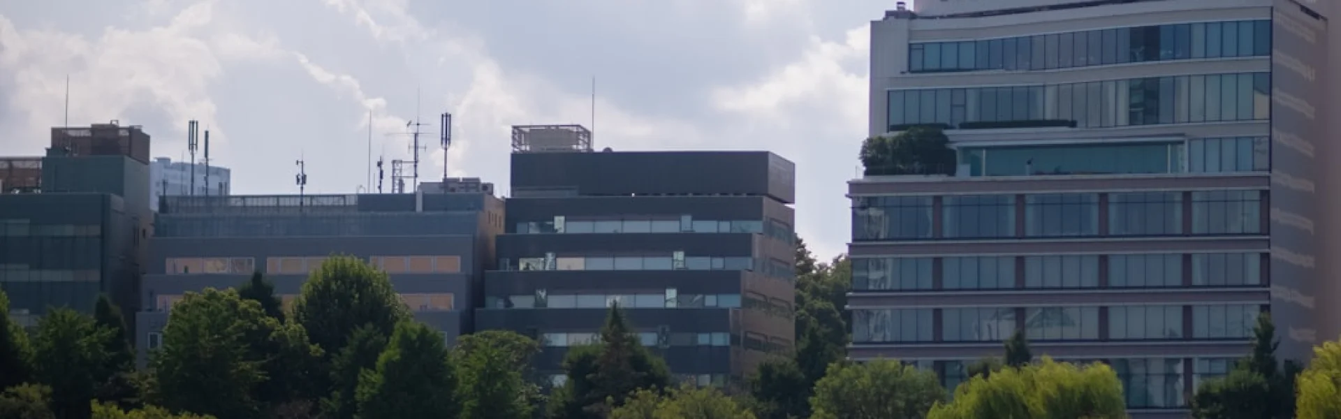 International University of Business Agriculture and Technology