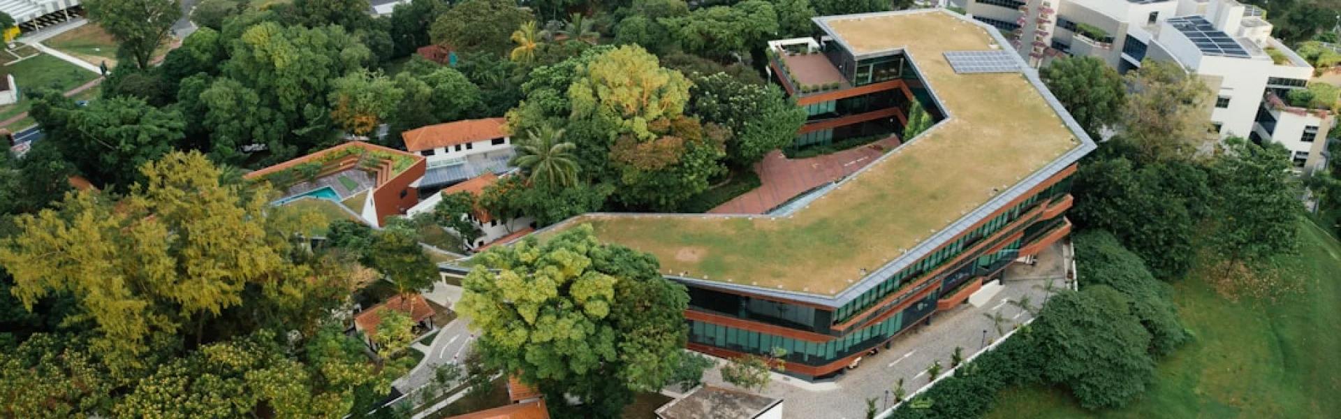 新加坡社科大学