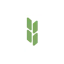 Tashkent State Agrarian University logo