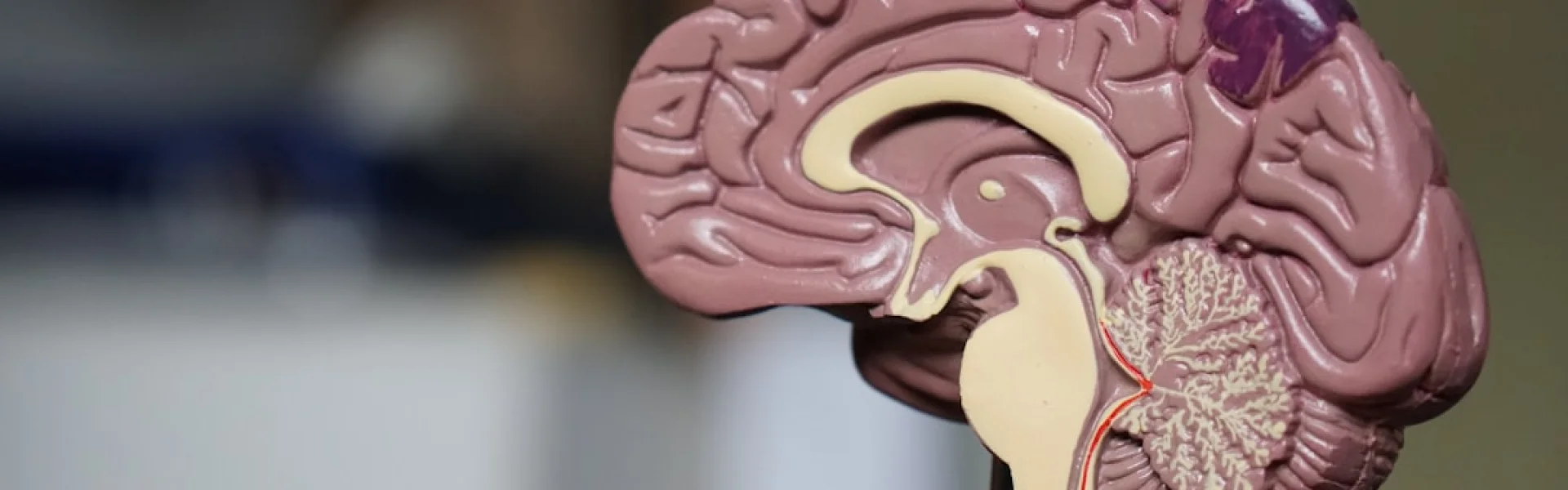 Center for Psychobiology and Behavioral Medicine