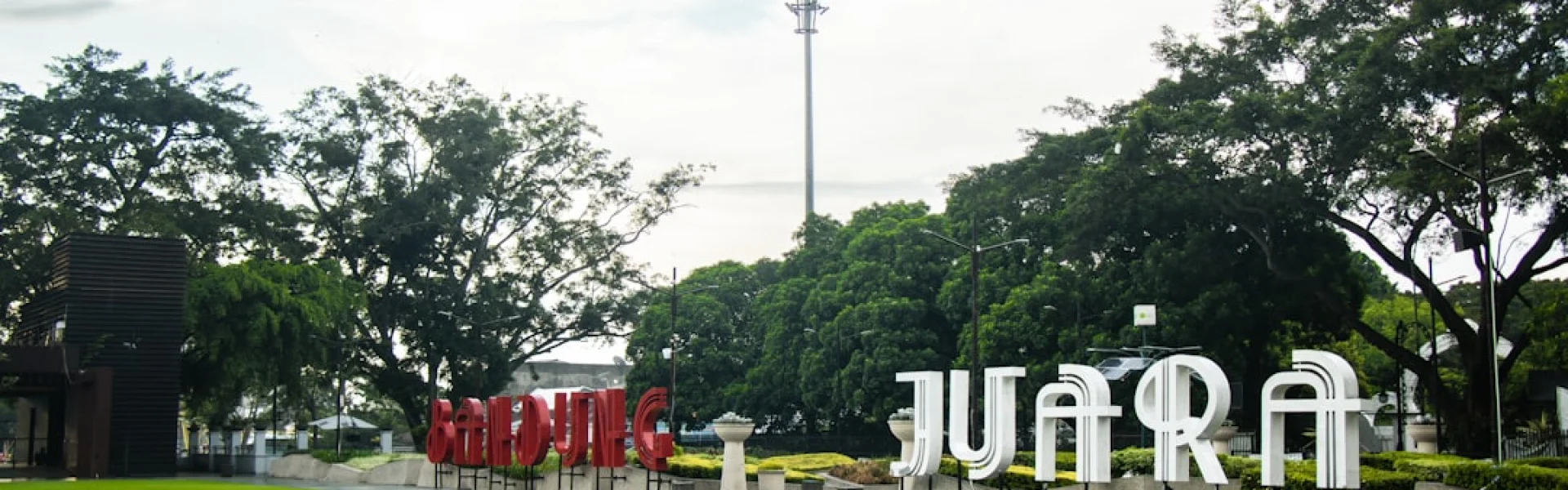 Jaypee University of Information Technology
