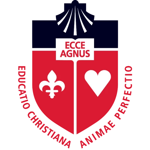St. John's University