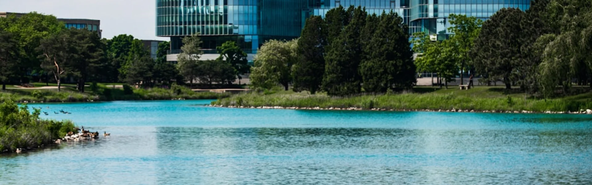 Northwestern University