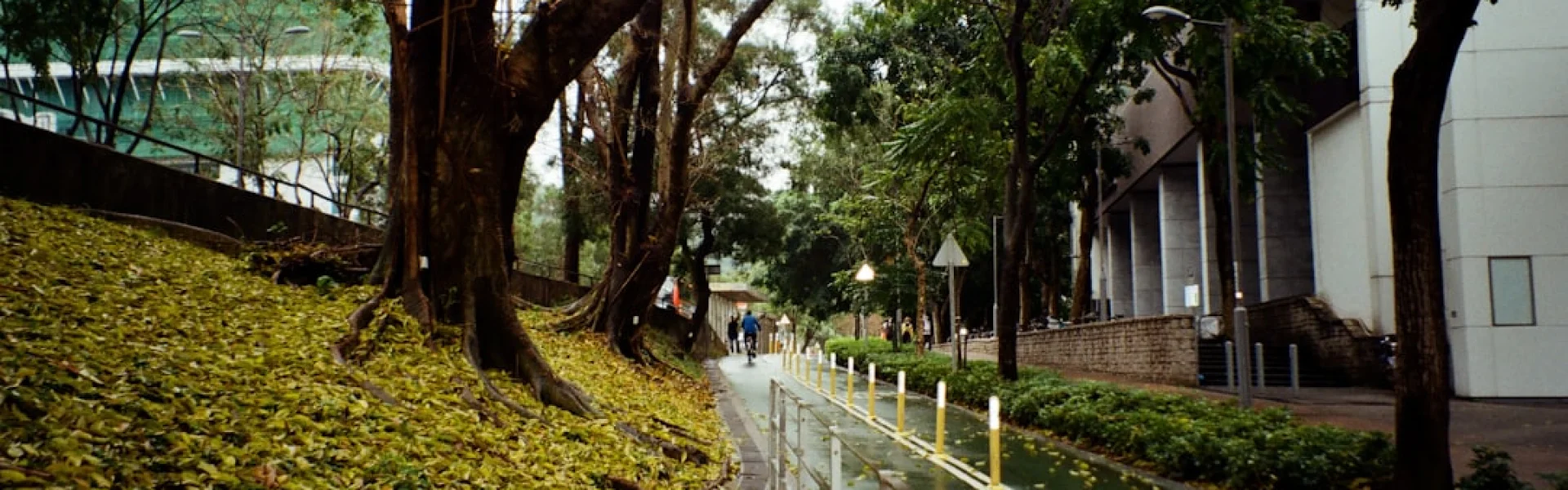 香港恒生大學