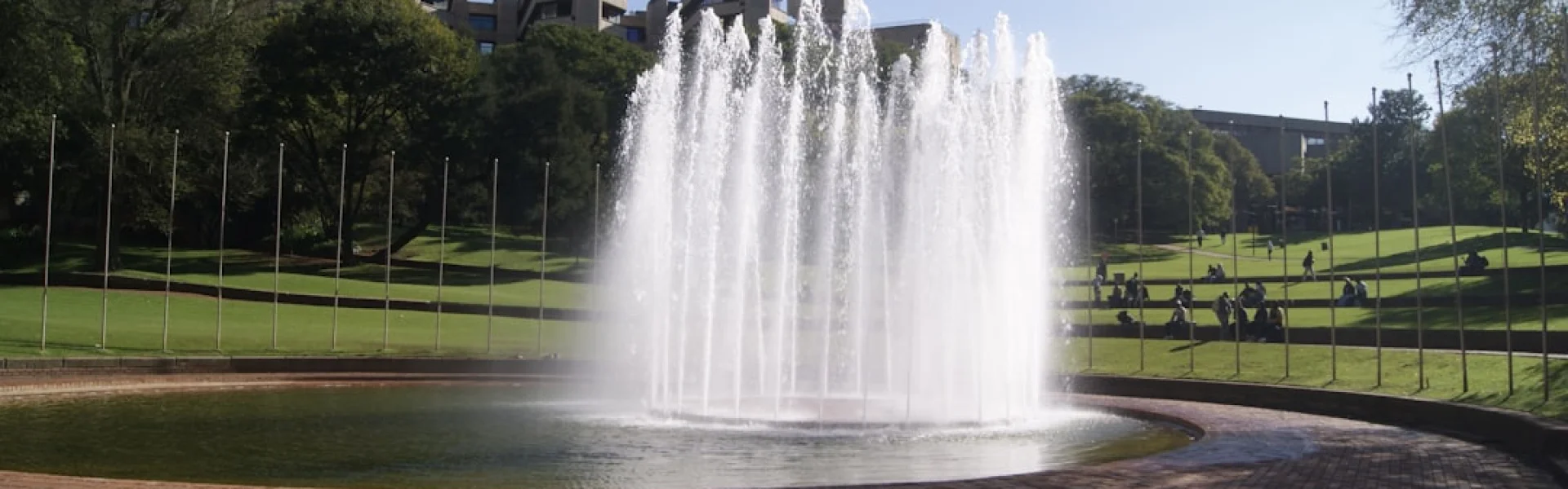 University of South Africa