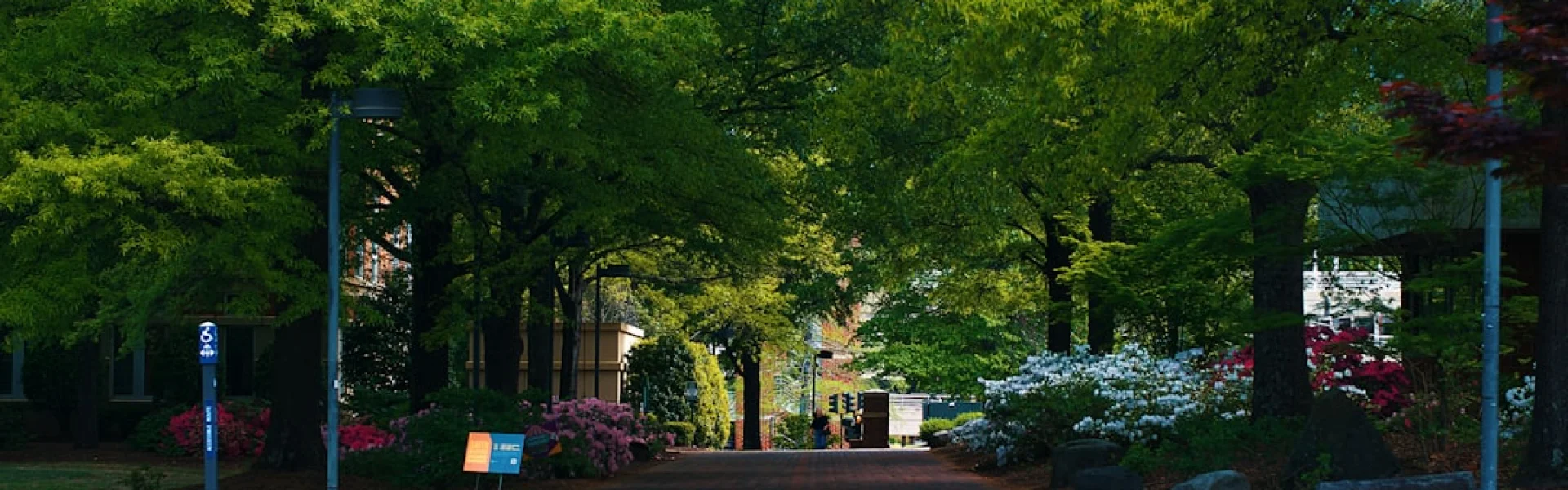 University of North Carolina System