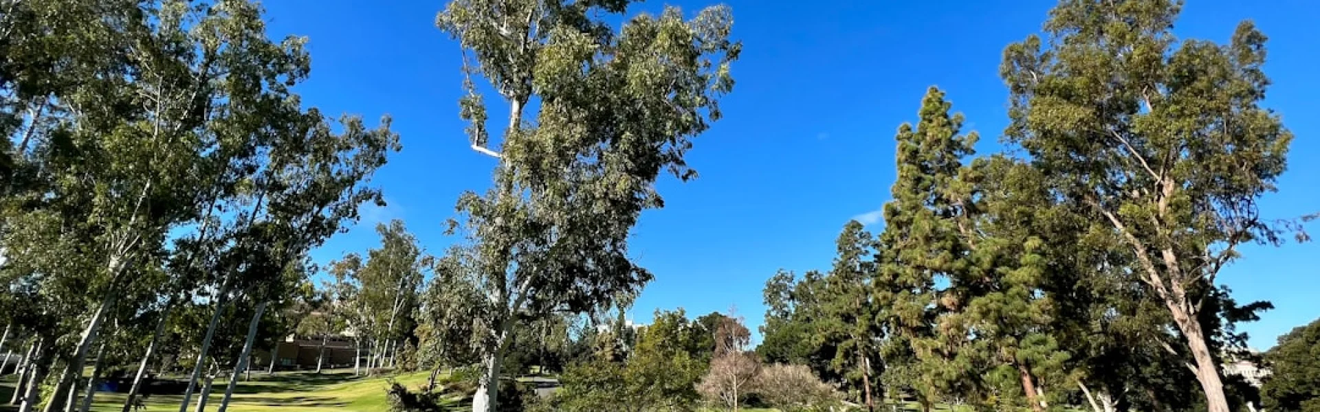 University of California, Irvine