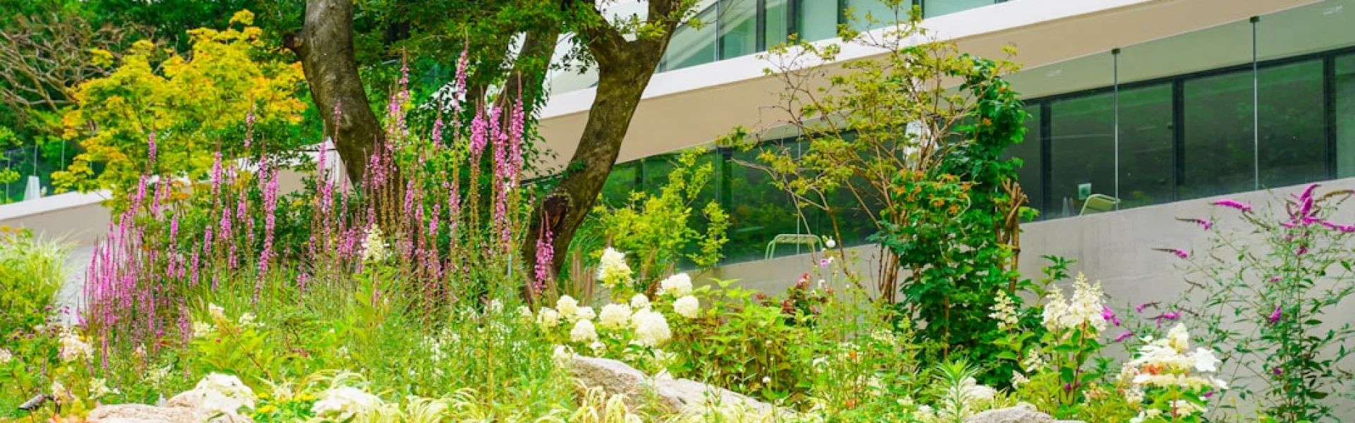 Bayerische Akademie für Naturschutz und Landschaftspflege