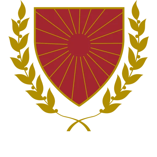 莱西姆大学