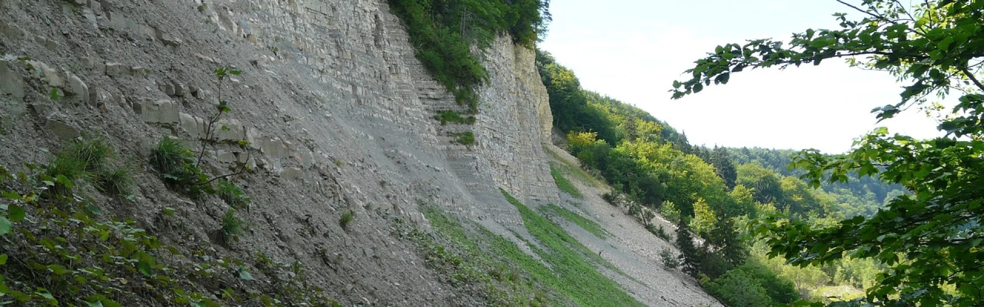 Geotop