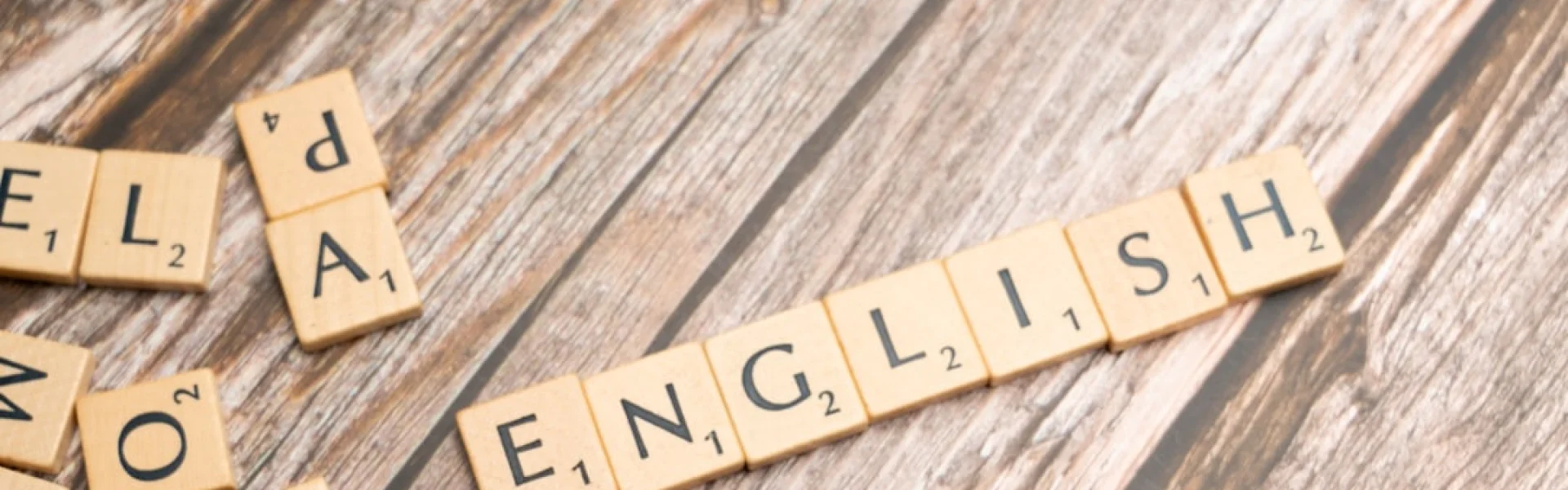 Leading English Education and Resource Network