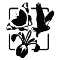 Centre de la science de la biodiversité du Québec logo