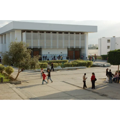 突尼斯-萨尔瓦多马纳尔大学 logo