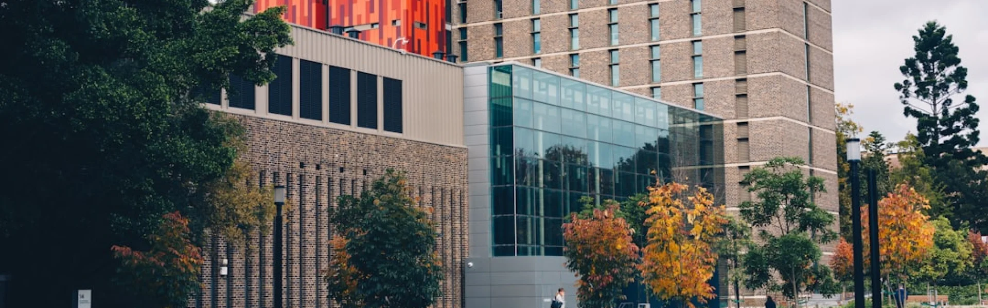 麦考瑞大学