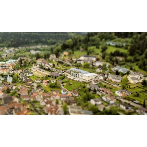 Internationale Hochschule Liebenzell logo