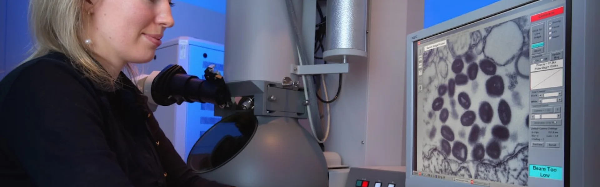 Institut für Medizinische Informationsverarbeitung, Biometrie und Epidemiologie