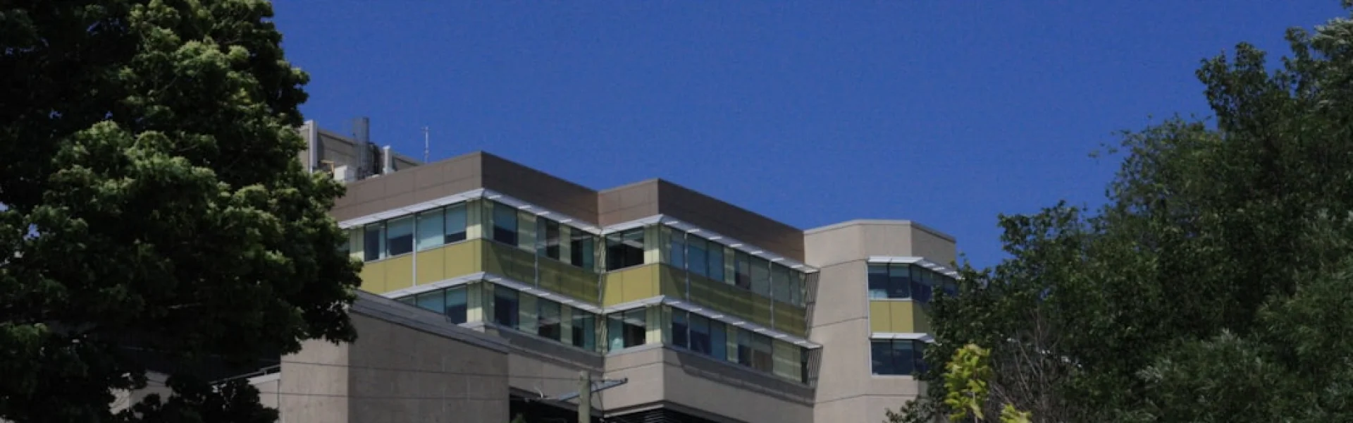 De La Salle Medical and Health Sciences Institute